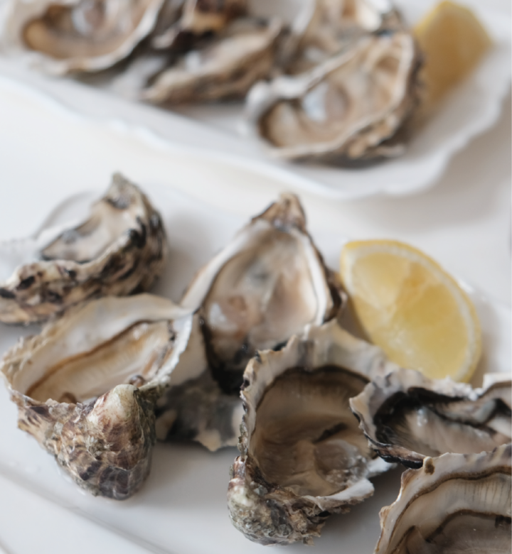 Website- Oysters